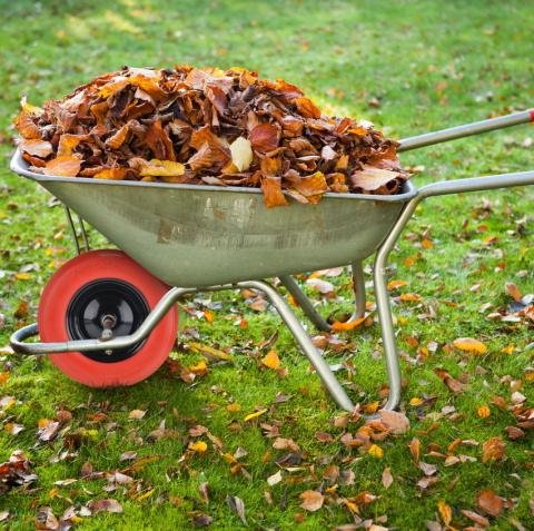 Koło do Taczek PU 4.80/4.00-8, Odporne na Przebicie, 120 kg Nośności – Koło Koło do Taczek PU 4.80/4.00-8, Odporne na Przebicie, 120 kg Nośności – Koło