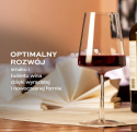 Stölzle Lausitz Kieliszki do Wina Czerwonego, 6 szt., 520ml, Nowoczesny Kształt, Odporne na Uszkodzenia, Mycie w Zmywarce