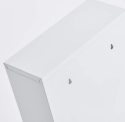 Szafka lekarska Zeller, metalowa, biała, 30x12x60 cm – przechowywanie leków