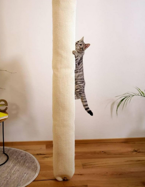 Kerbl Climber 84457 – Drapak i Worek do Wspinaczki dla Kotów, 16 x 16 x 240 cm Kerbl Climber 84457 – Drapak i Worek do Wspinaczki dla Kotów, 16 x 16 x 240 cm
