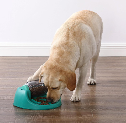 Nina Ottosson by Outward Hound Spin N' Eat – Interaktywna Miska i Zabawka Nina Ottosson by Outward Hound Spin N' Eat – Interaktywna Miska i Zabawka