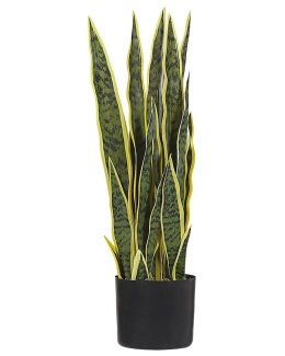 Beliani – Sztuczna roślina SNAKE PLANT 63 cm Zielony