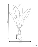Sztuczna Roślina Bananowiec Beliani BANANA TREE 123 cm, Złoty