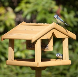 Karmnik dla Ptaków XL Wolnostojący 117 cm – Impregnowane Drewno Sosnowe